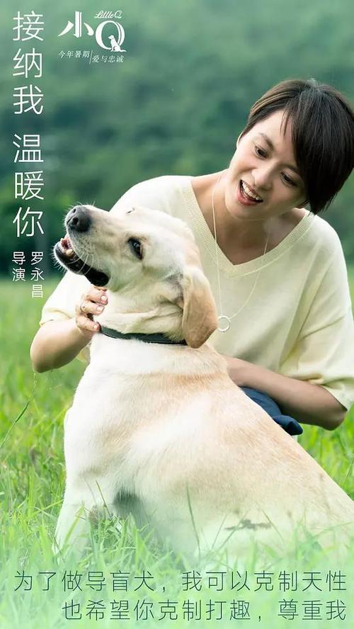 怎么买假的南苏丹身份证